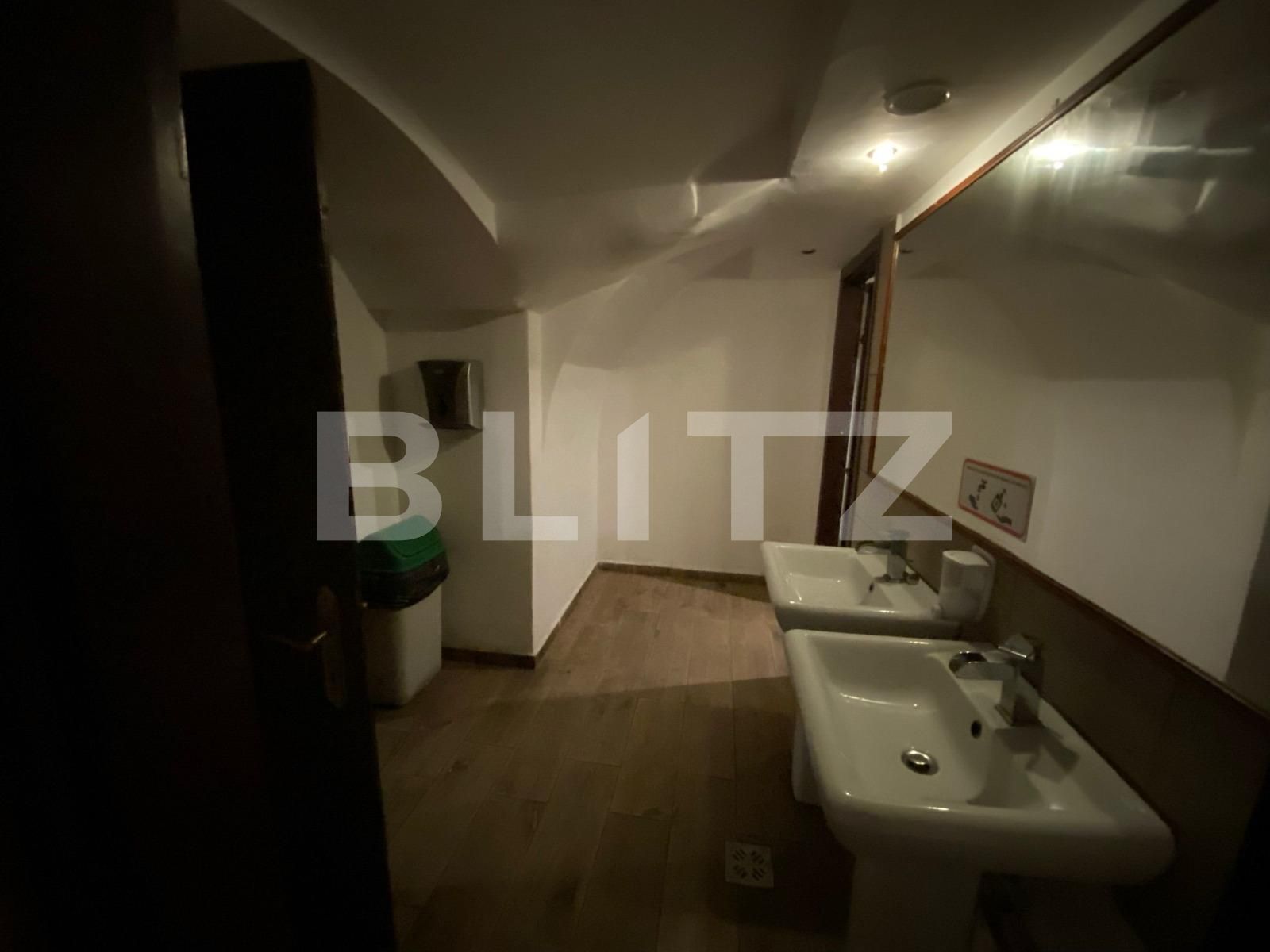 Spațiu comercial de vânzare Ultracentral - 94701SVC | BLITZ Timișoara | Poza6