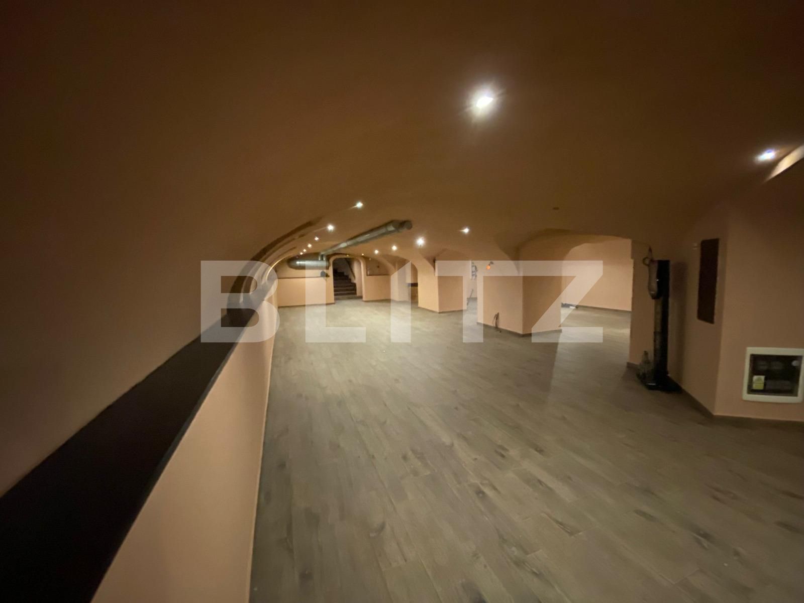 Spațiu comercial de vânzare Ultracentral - 94701SVC | BLITZ Timișoara | Poza2