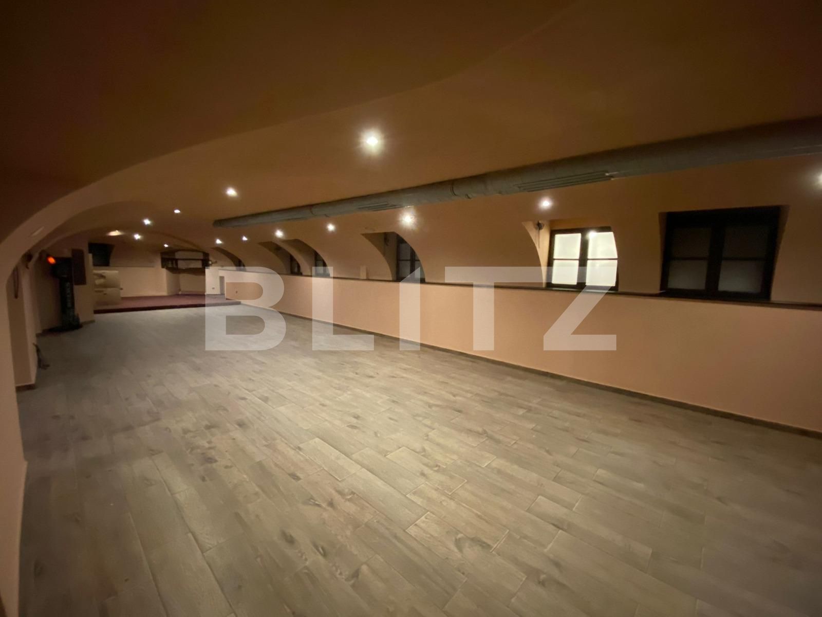 Spațiu comercial de vânzare Ultracentral - 94701SVC | BLITZ Timișoara | Poza3