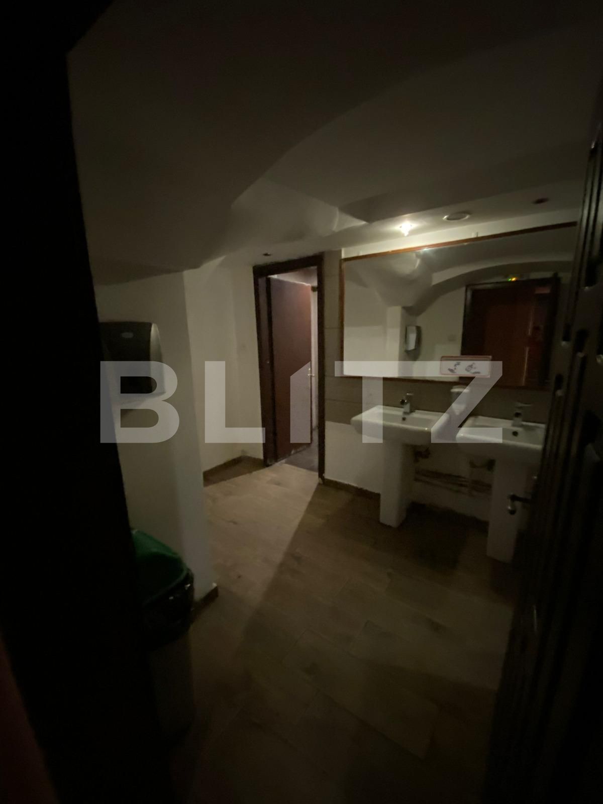 Spațiu comercial de vânzare Ultracentral - 94701SVC | BLITZ Timișoara | Poza7