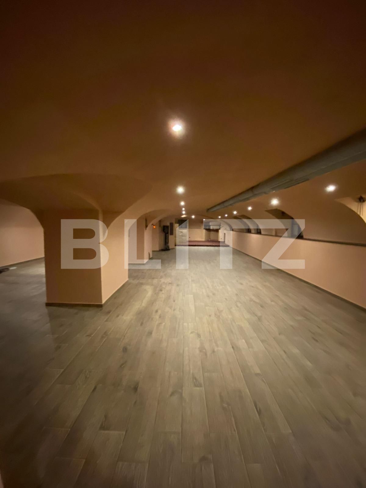 Spațiu comercial de vânzare Ultracentral - 94701SVC | BLITZ Timișoara | Poza4