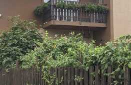 Casa individuala cu 7 camere, 694 mp teren, Zona Steaua