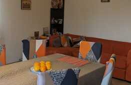 Casa individuala cu 7 camere, 694 mp teren, Zona Steaua