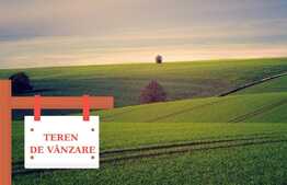 Teren extravilan, 125000mp, Bara