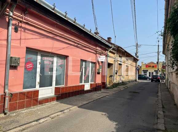 Casa de vânzare 3 camere Exterior Sud - 94836CV | BLITZ Timișoara | Poza1