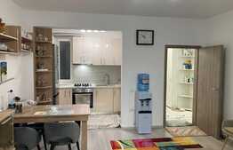 Oportunitate! Apartament 2 camere, gradina, zona Buziasului