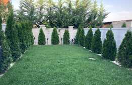 Oportunitate! Apartament 2 camere, gradina, zona Buziasului