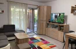 Oportunitate! Apartament 2 camere, gradina, zona Buziasului