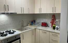 Oportunitate! Apartament 2 camere, gradina, zona Buziasului