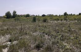 Teren  intravilan în Calea Urseni cu utilitati