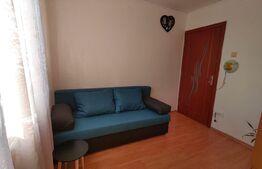 Apartament de 3 camere, pet-friendly, 68 mp, Cetatii 