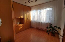 Apartament de 3 camere, pet-friendly, 68 mp, Cetatii 
