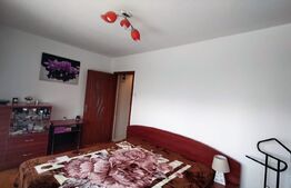 Apartament de 3 camere, pet-friendly, 68 mp, Cetatii 