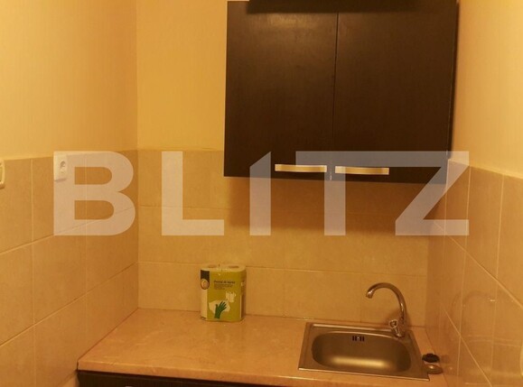 Garsonieră de vânzare Take Ionescu - 95155AV | BLITZ Timișoara | Poza7