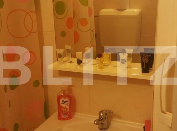Garsonieră de vânzare Take Ionescu - 95155AV | BLITZ Timișoara | Poza6