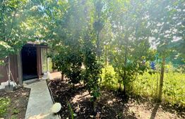 Apartament  la Casa, 3 camere, parter + terasa si gradina + 2 loc.parcare, intrare Giroc