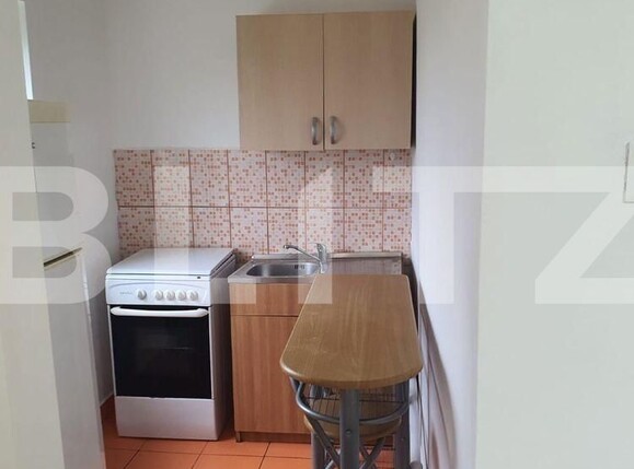 Garsonieră de vânzare Bucovina - 95341AV | BLITZ Timișoara | Poza3