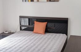 Oportunitate! Duplex mobilat si utilat, 110 mp utili, Dumbravita