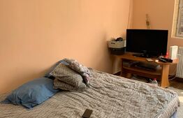 Garsoniera, 22 mp, etaj 1, zona Steaua