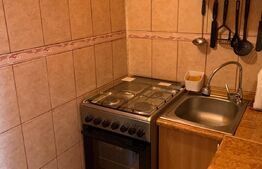 Garsoniera, 22 mp, etaj 1, zona Steaua