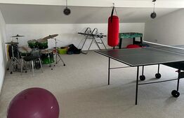 Vilă de lux, 400 mp utili, în zona Mureș 