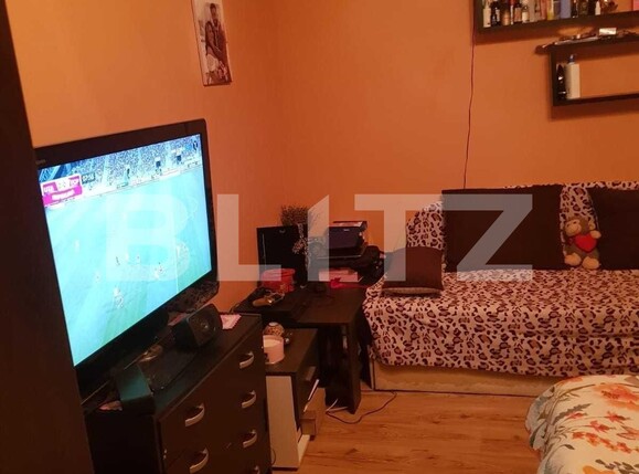 Garsonieră de vânzare Sagului - 95521AV | BLITZ Timișoara | Poza2