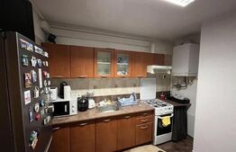 Garsoniera de 40 mp, terasa de 23 mp, zona Calea Aradului