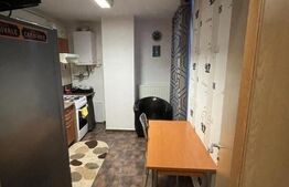 Garsoniera de 40 mp, terasa de 23 mp, zona Calea Aradului