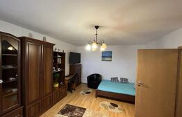 Garsoniera de 40 mp, terasa de 23 mp, zona Calea Aradului