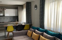 Casa cu design modern in Dumbravita