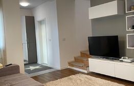 Casa cu design modern in Dumbravita