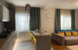 Casa cu design modern in Dumbravita