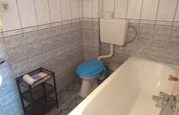 Apartament de 2 camere, 100 mp, grădină, zona Mehala