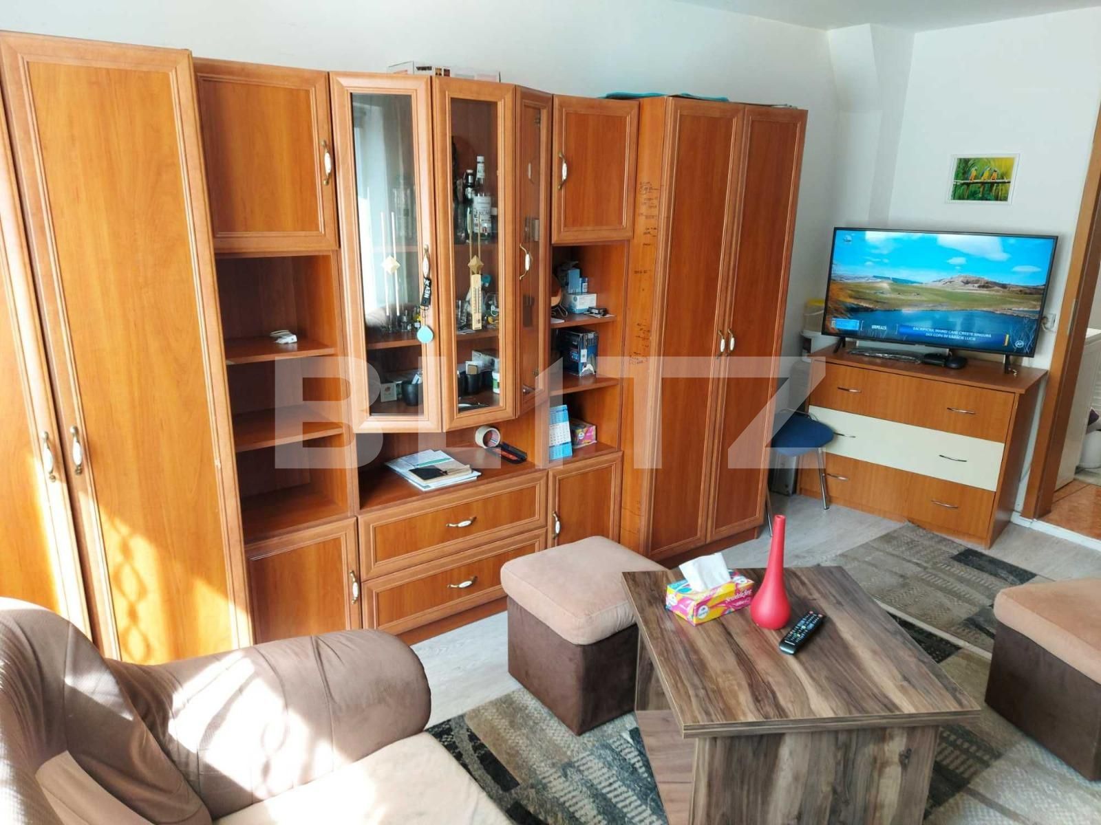 Garsonieră de vânzare Blascovici - 95736AV | BLITZ Timișoara | Poza3