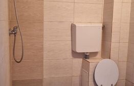 Garsoniera de 16 mp, zona Buziasului