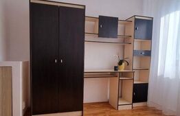 Garsoniera de 16 mp, zona Buziasului