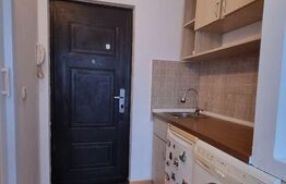 Garsoniera de 16 mp, zona Buziasului