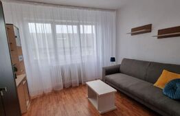 Garsoniera de 16 mp, zona Buziasului