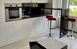 Apartament 1 camera, 40 mp, zona Aradului