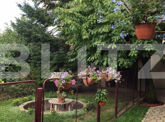 Casa de vânzare 3 camere Balcescu - 95765CV | BLITZ Timișoara | Poza1