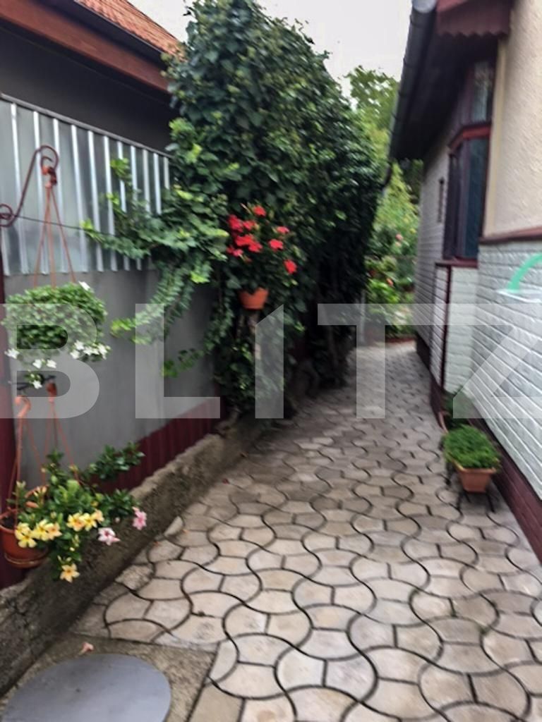 Casa de vânzare 3 camere Balcescu - 95765CV | BLITZ Timișoara | Poza14