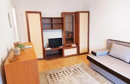 Investitie sau Locuinta? Tu alegi. Apartament 22 mp, in zona Olimpia 