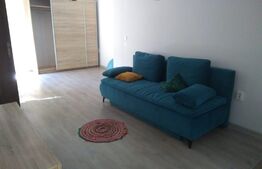 Garsoniera de 40 mp, zona Șagului