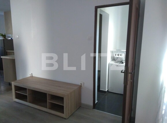 Garsonieră de închiriat Sagului - 96224AI | BLITZ Timișoara | Poza4