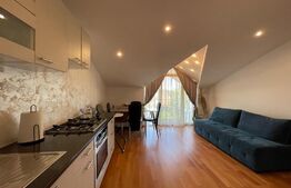 Vila superba in zona Lipovei