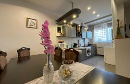 Vila superba in zona Lipovei