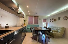 Vila superba in zona Lipovei