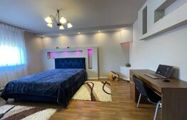 Vila superba in zona Lipovei