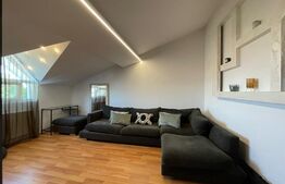 Vila superba in zona Lipovei