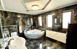 Duplex mobilat si utilat, 120 mp utili, 300 mp teren, Mosnita Noua